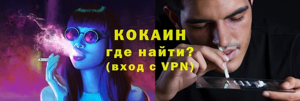 тгк Алзамай