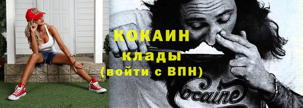 тгк Алзамай