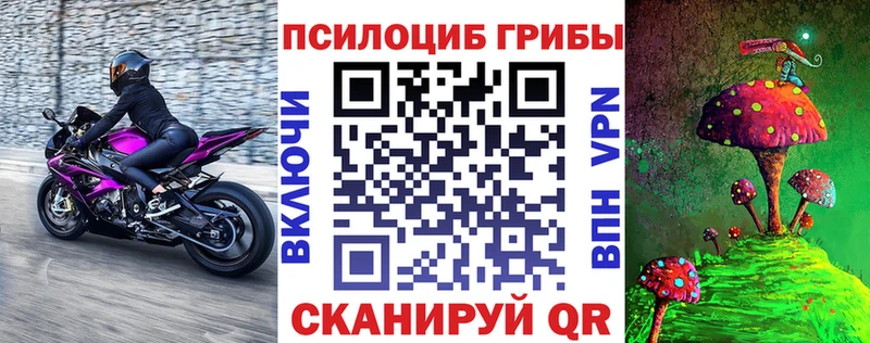Галлюциногенные грибы Psilocybe  Рошаль 